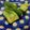 クックM6DK2O☆'s cooksnap of when they made お箸が止まらない、ピリ辛やみつききゅうり.
