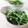 ともみん❤'s cooksnap of when they made 十六ささげのピーナッツと胡麻の和え物.