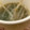 MULA's cooksnap of when they made もやしとわかめの中華風スープ.