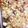 やーヤ's cooksnap of when they made 具沢山ちゃんぽん風あんかけ焼きそば.