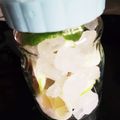 グーまま4's cooksnap of when they made サッパリ甘い ライムシロップ.