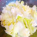 プー♡'s cooksnap of when they made 豆腐とレタスのヘルシーサラダ☆.
