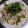 クックQX9IB0☆'s cooksnap of when they made しめじとえのきの青じそ炒め♪.