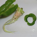 花音's cooksnap of when they made 万願寺シシトウ（とうがらし）の種だし方.