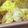 ゆけり３兄弟's cooksnap of when they made ＊お家で簡単中華　海老と卵の炒め＊.