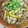 Coo1215's cooksnap of when they made 旨い！豚じゃがの岩のりバター炒め☆.
