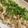 クックPR3P34☆'s cooksnap of when they made 【フレイル予防】しらす梅チャーハン.