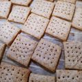 プリン12345's cooksnap of when they made 全粒粉入り自家製酵母のビスケット.