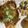 kangaru's cooksnap of when they made ご飯が進む！烏賊キャベツの焦がし味噌炒め.