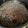 yukipea's cooksnap of when they made 簡単！楽！美味しい！醤油ラーメンスープ.