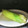 ととろ＆めい's cooksnap of when they made とうもろこし•茹では皮つきでレンジOK.