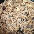 あっひる's cooksnap of when they made ヒラタケご飯♪キノコご飯おいしく炊くコツ.
