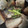ははーす's cooksnap of when they made 刺身用はまちの切り身で煮付け♫.