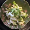 KAORU4649's cooksnap of when they made 白菜の梅酢漬け.