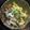 KAORU4649's cooksnap of when they made 白菜の梅酢漬け.