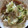 KAORU4649's cooksnap of when they made レタスのオイスターソース炒め.