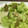 chocoraママ's cooksnap of when they made レタスと海苔のめんつゆマヨサラダ.