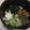 きらり流れ星's cooksnap of when they made とろろなめこそば.