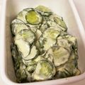 kimig's cooksnap of when they made 綺麗になれちゃう『胡瓜の山葵クリチ和え』.