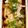 クックFJ5BNF☆'s cooksnap of when they made アジの南蛮漬け.