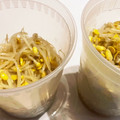 美味しい物作りたい's cooksnap of when they made もやしを保存して☆最後まで食べきる方法.