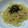 rai☆yuaママ☆'s cooksnap of when they made コクうま☆たらこスパゲティー.