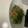 犬飼ってる's cooksnap of when they made 豚こま切れ肉とニンニクの芽の甘辛炒め.