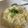 おかえり定食's cooksnap of when they made 卵とネギの雑炊.