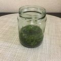 ☆こまっと☆'s cooksnap of when they made バジルのオリーブオイル漬け　長期保存にも.