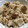 imocooking's cooksnap of when they made 胡桃の炊き込みご飯.