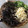 Rick_t's cooksnap of when they made おくらと天かすの冷やしそば☆.