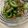 クック0THS6P☆'s cooksnap of when they made 簡単 もう一品 ゴーヤのお浸しごま油和え.