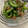 クック0THS6P☆'s cooksnap of when they made 簡単 もう一品 ゴーヤのお浸しごま油和え.