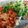 Yuuko7i's cooksnap of when they made 豆腐ハンバーグ.