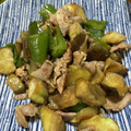 リラシャン's cooksnap of when they made なすとピーマンの焼肉のたれ煮.
