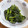 登陽ママ's cooksnap of when they made 簡単☆ほうれん草の胡麻和え.