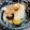 えりぱんな's cooksnap of when they made かぼちゃ白玉.