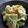 TYSK's cooksnap of when they made ＊アボカドとツナのレモン醤油サラダ＊.