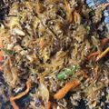 のんけんな's cooksnap of when they made チャプチェ（牛肉と春雨の韓国風炒め）.