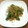 comi3's cooksnap of when they made 簡単☆ししとうとしらすの炒めもの.