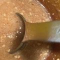 ほのぼのいっこ's cooksnap of when they made 塩麹ドレッシング.
