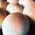 Astorito's cooksnap of when they made 初心者でも簡単！絶対作れるちぎりパン 2.