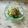 ナピト's cooksnap of when they made 止まらない！香味野菜のさっぱりサラダ.
