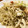 ☆ごはんできた☆'s cooksnap of when they made 塩焼きそば.