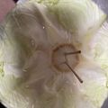 秀狼1011's cooksnap of when they made 白菜や、キャベツの保存方法。.