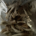 秀狼1011's cooksnap of when they made 長持ち！舞茸の冷凍保存方法.