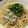 papikun's cooksnap of when they made シラスのパスタ.