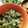 クックE662AA☆'s cooksnap of when they made レンジで簡単♫小松菜ナムル.