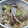 や～たん食堂's cooksnap of when they made 鮭とまいたけの炊き込みご飯.