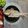ニコ花ママ's cooksnap of when they made 超簡単オーブンで祝い鯛　焼鯛 お食い初め.